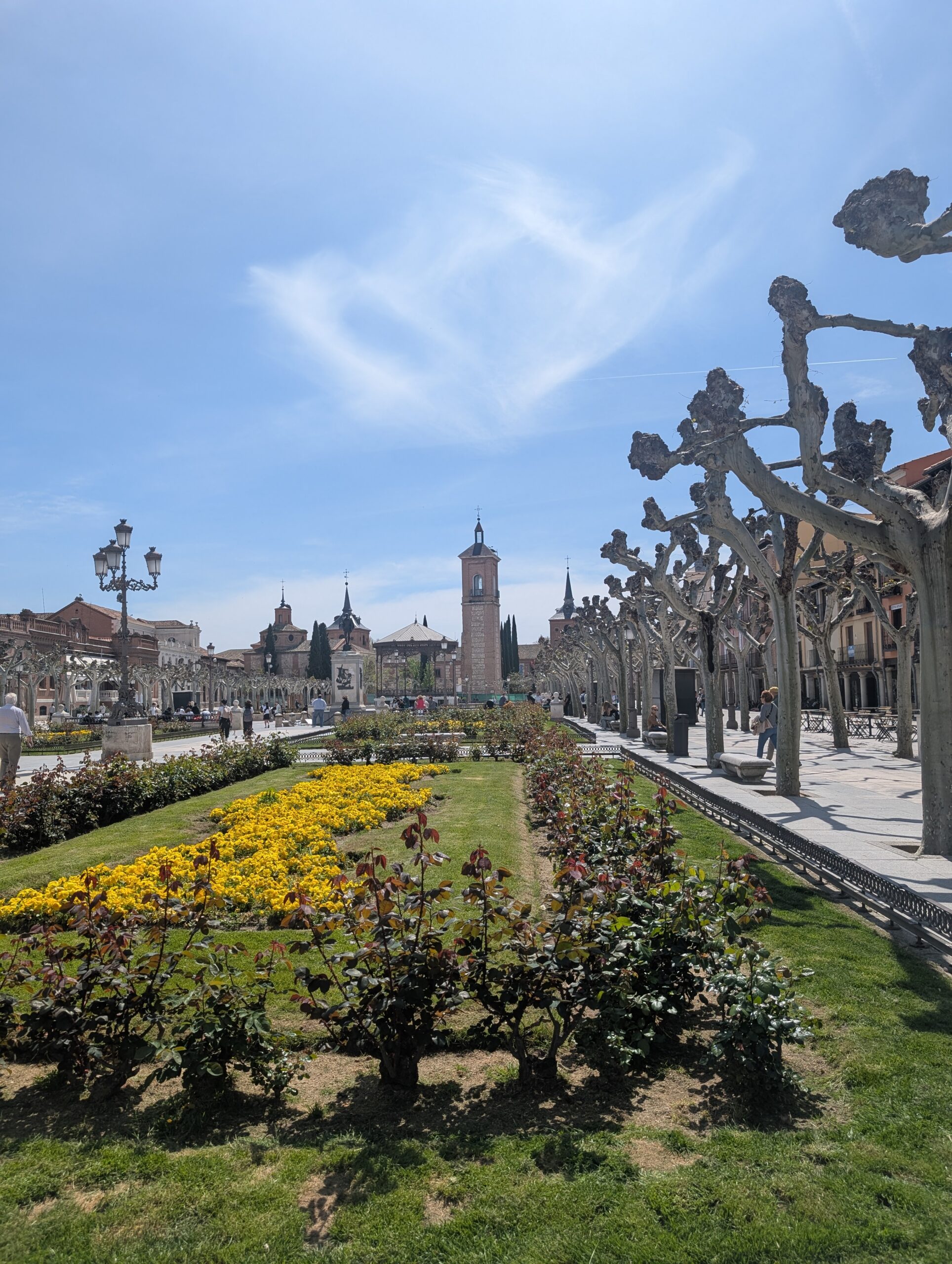 alcala de henares2